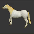 White Horse Standing Gracefully On Black Background With Clear Reflection 3d model