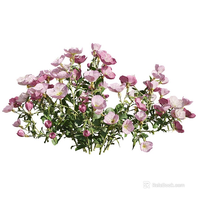 Blooming Garden Plants Cluster With Vibrant Pink Flowers And Lush Green Leaves 3d model 