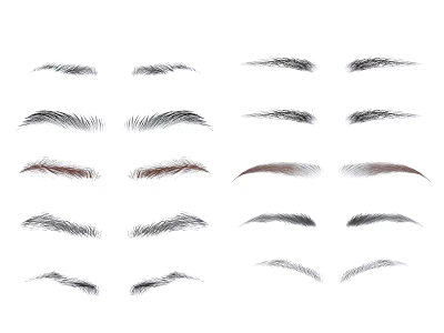 Various Eyebrow Style Combinations With Different Shapes And Natural Designs 3d model