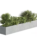 Rectangular Gray Concrete Planter with Various Green Potted Plants and Lush Foliage 3d model