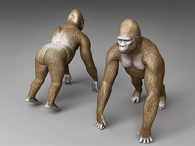 Modern gorilla gorilla 3d model Modern gorilla gorilla 3d model