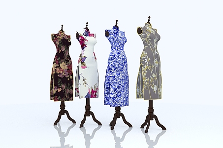 Modern Model Cheongsam Rack 3d model