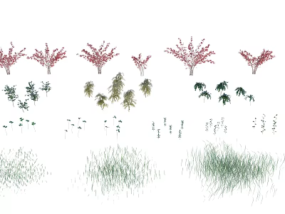 Colorful Garden Shrub Collection Featuring Various Red Green Types And Decorative Foliage Forms 3d model