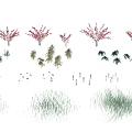 Colorful Garden Shrub Collection Featuring Various Red Green Types And Decorative Foliage Forms