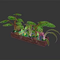 Green Leafy Plants In Wooden Tray With Large Foliage And Varieties