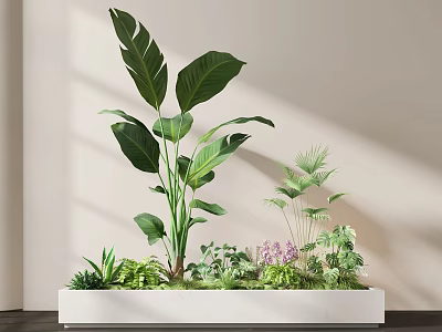 Indoor Plant Combination in White Rectangular Planter with Large Leaves Small Greenery and Purple Flowers 3d model