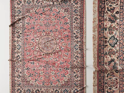 Traditional Square Area Rug With Intricate Floral Patterns And Red Blue Accents 3d model