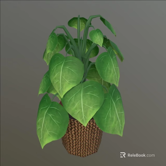 Houseplant with Large Broad Green Leaves and Distinct Veins in Brown Woven Basket 3d model 