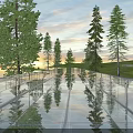 Transparent Glass Bridge With Tall Trees Green Grass And Sunset Sky Reflections