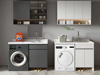Modern Bathroom Cabinet Frames With Washer Sink White And Gray Design 3d model