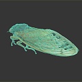 Modern cicada cicada cicada shell golden cicada 3d model