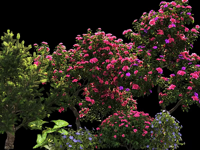 Arbor Tree With Pink And Purple Flowers And Green Foliage In Garden 3d model