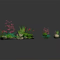 Various Garden Plants Including Succulents Red Flowers And Green Shrubs With Stones On White Base