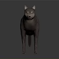 Gray Dog in Standing Position with Realistic 3D Model and Gradient Background