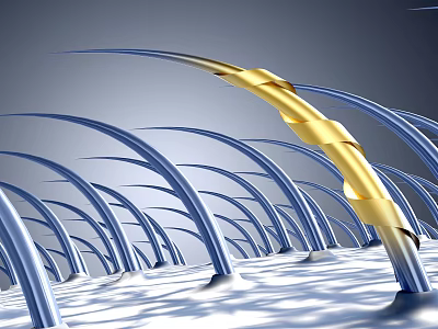 Modern Hair 3d model Modern Hair 3d model