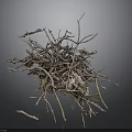 Natural Dry Twigs Stacked In Pile With Various Sizes And Textures