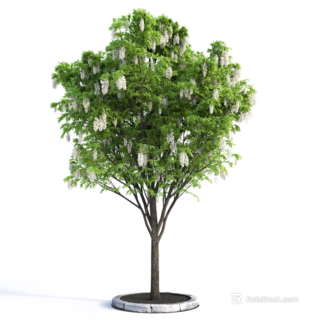Lush Green Tree with White Hanging Blossoms Brown Trunk and Dense Foliage 3d model 