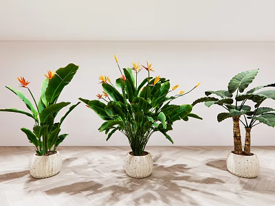 Indoor Decorative Potted Plants With Large Green Leaves And Orange Flowers In White Textured Pots 3d model