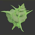 Conch Marine Animal With White Spiral Shell And Spiky Protrusions On Dark Background