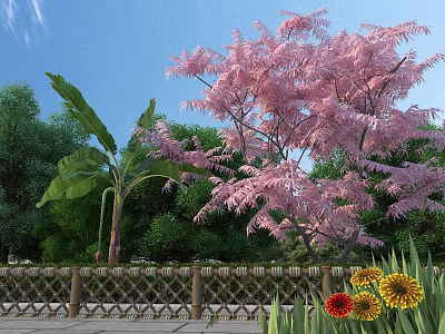 Garden Landscape With Pink Flowering Tree Banana Palm Bamboo Fence Yellow And Red Flowers 3d model