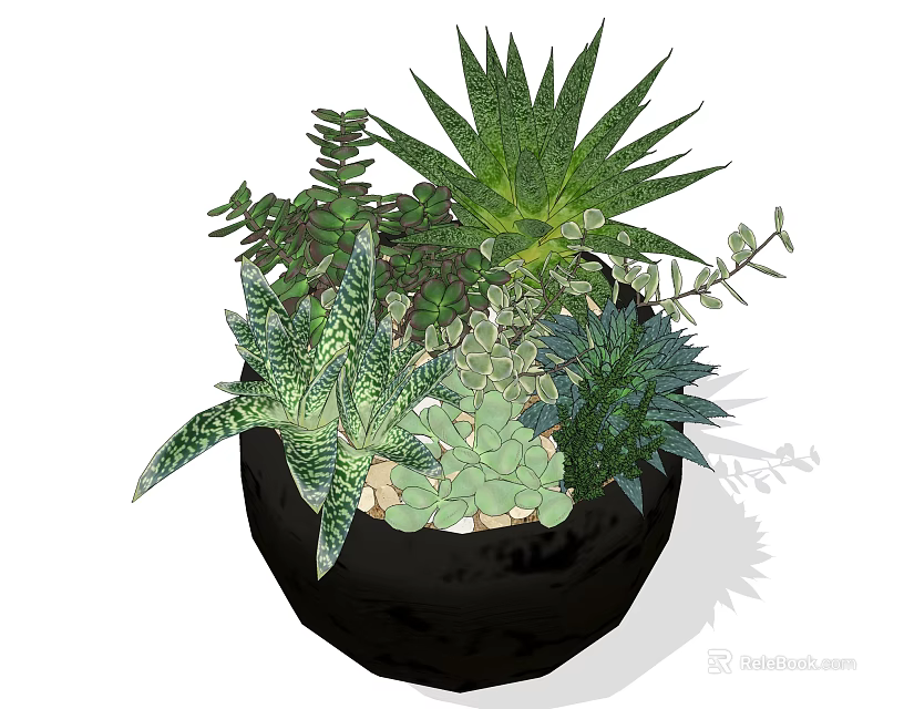 Bonsai Potted Plant With Black Pot And Various Succulent Leaves And Small Pebbles 3d model 