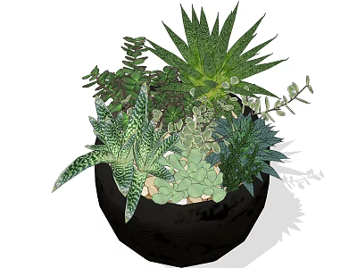 Bonsai Potted Plant With Black Pot And Various Succulent Leaves And Small Pebbles 3d model