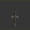 Sawfish With Long Serrated Rostrum And Streamlined Grayish Brown Body On Dark Reflective Background