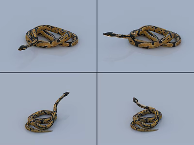 Yellow and Black Coiled Snake with Raised Head in Various Positions as Reptile 3d model