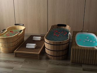 New Chinese Fish Tank Bathtub Shower Barrel 3d model