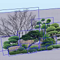 Modern shrubs 3d model