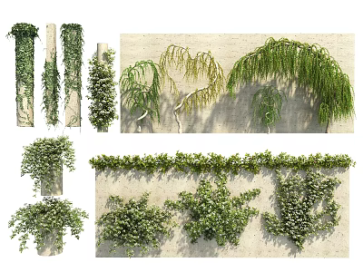 Various Vines Growing On Walls And Pillars In Different Forms 3d model