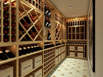 Elegant Wine Cellar Interior Design With Wooden Racks Stored Bottles And Storage Areas 3d model