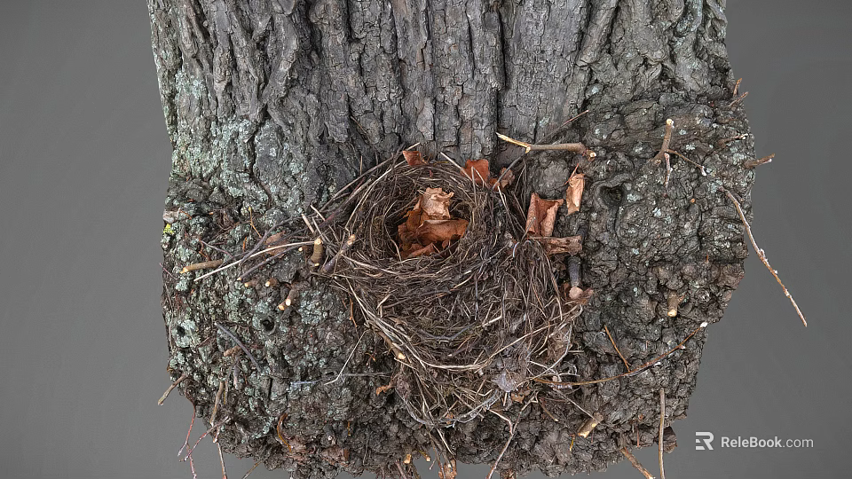 Natural Garden Ornament Featuring Bird Nest On Tree Trunk With Dry Leaves And Twigs 3d model 