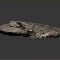 Chi chrysanthemum stone ancient fossil stone chrysanthemum fossil items 3d model