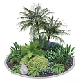 Circular Tree Planter with Palm Trees Various Green Plants and Stones