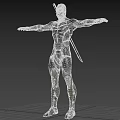 Ninja 3d model