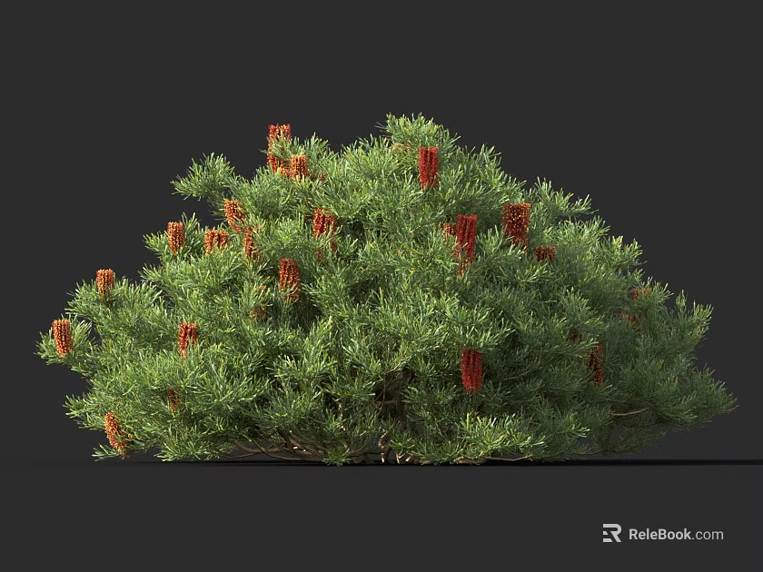 Lush Green Foliage Shrub With Vibrant Red Flowers In Full Bloom 3d model 