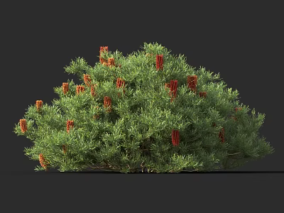 Lush Green Foliage Shrub With Vibrant Red Flowers In Full Bloom 3d model
