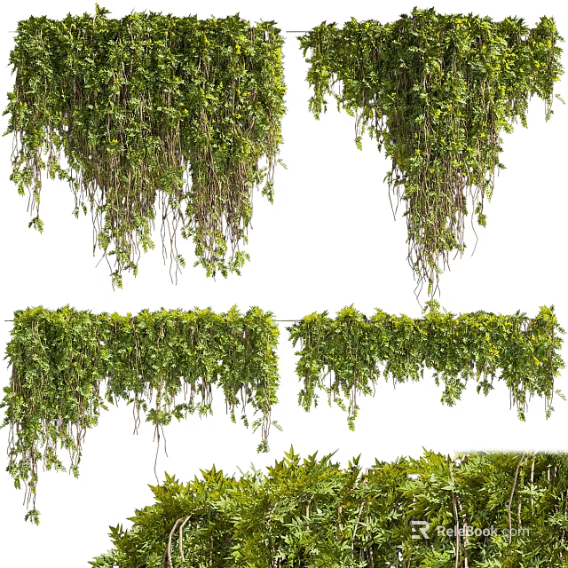 Lush Green Hanging Vines With Trailing Foliage And Decorative Garden Styles 3d model 