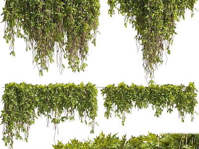 Lush Green Hanging Vines With Trailing Foliage And Decorative Garden Styles 3d model