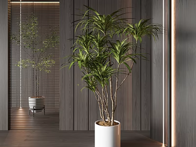 Large Leafy Potted Plant in Modern Interior with White Pot and Wooden Wall 3d model