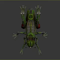 Mechanical Green Grasshopper With Metal Structure Red Details Spring Legs And Black Eyes