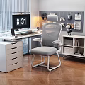 Gray Mesh Back Office Chair With White Frame And Armrests In Modern Home Office Setup