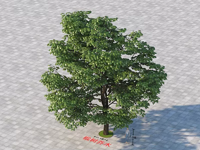 Lush Green Arbor With Dense Foliage Strong Trunk On Paved Ground 3d model