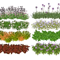 Diverse Colorful Flowers And Green Plants With Purple White Orange Blooms