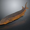 Decorative Realistic Sturgeon Fish Figurine For Home Living Room Decoration Ornament