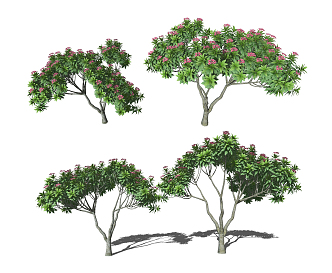 Modern tree landscape trees deciduous small trees egg flower tree 3d model