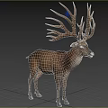 Majestic Deer With Large Antlers Standing In Natural Grassland Habitat