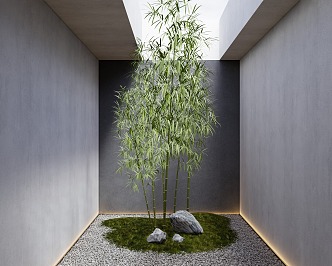 Modern bamboo courtyard landscape 3d model