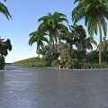 Road Facilities Featuring Asphalt Pavement Lined with Palm Trees Green Plants and Blue Sky
